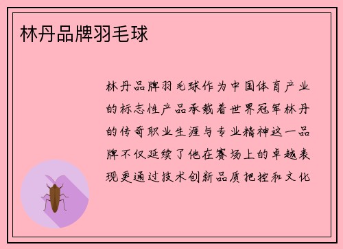 林丹品牌羽毛球